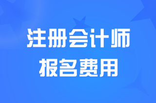 �ӱ�<a href='http://www.canet.com.cn/zhukuai/' target='_blank'><u>CPA</u></a>���Ա�������רҵ�׶�95Ԫÿ��