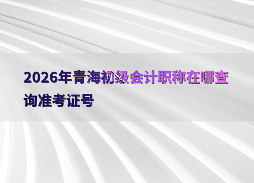 �ຣ������ƴ�ӡ����
