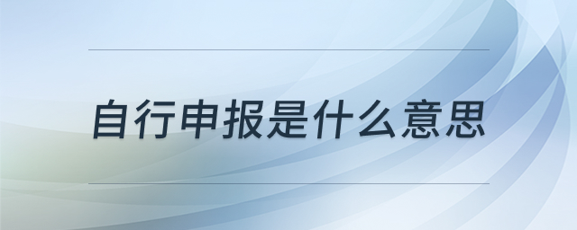 自行申报概念图