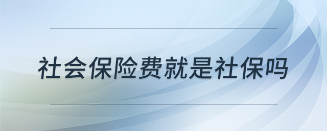 社保与社会保险费解析