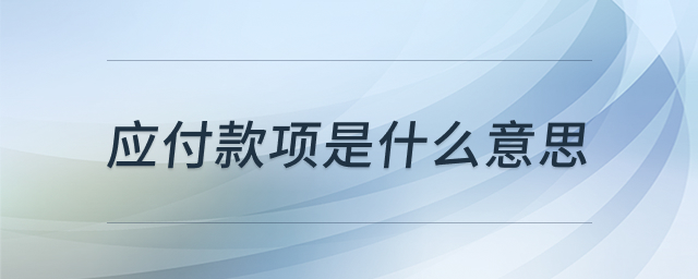 应付款项财务概念示意图