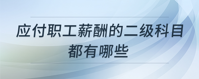 应付职工薪酬二级科目详解