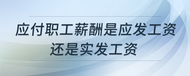 应付职工薪酬概念解析