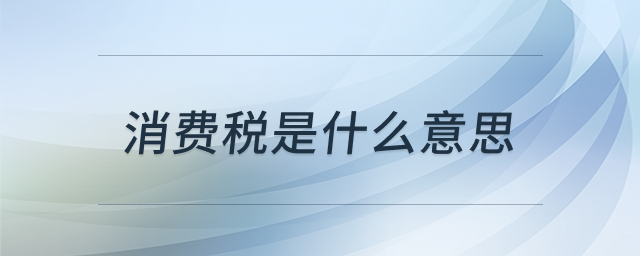 消费税概念解析